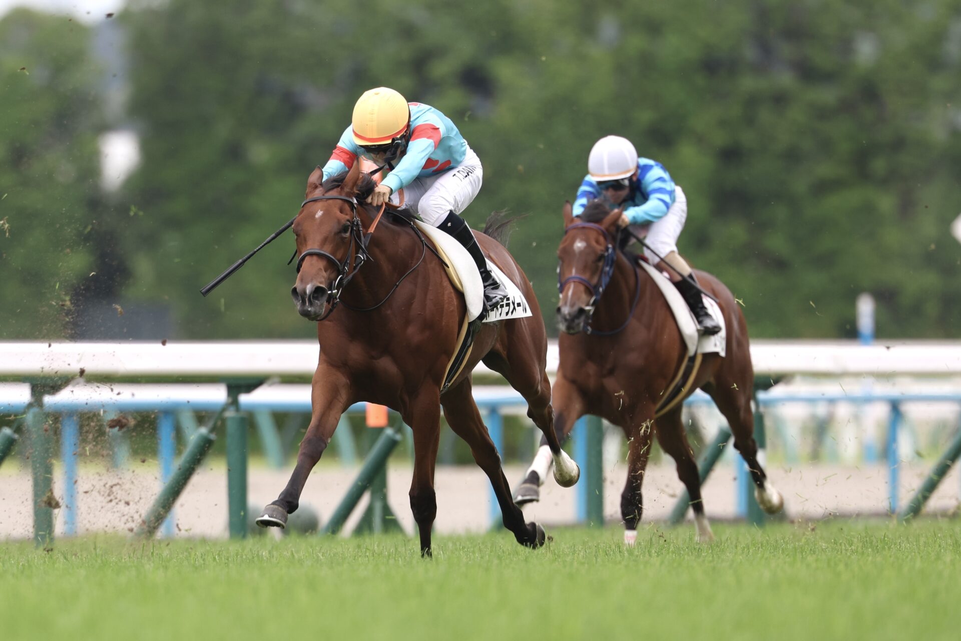 6月9日の京都5R・2歳新馬（芝1200m）において、生産馬のポートデラメール号（牝2歳、父ナダル、母ジュベルアリ）が勝利