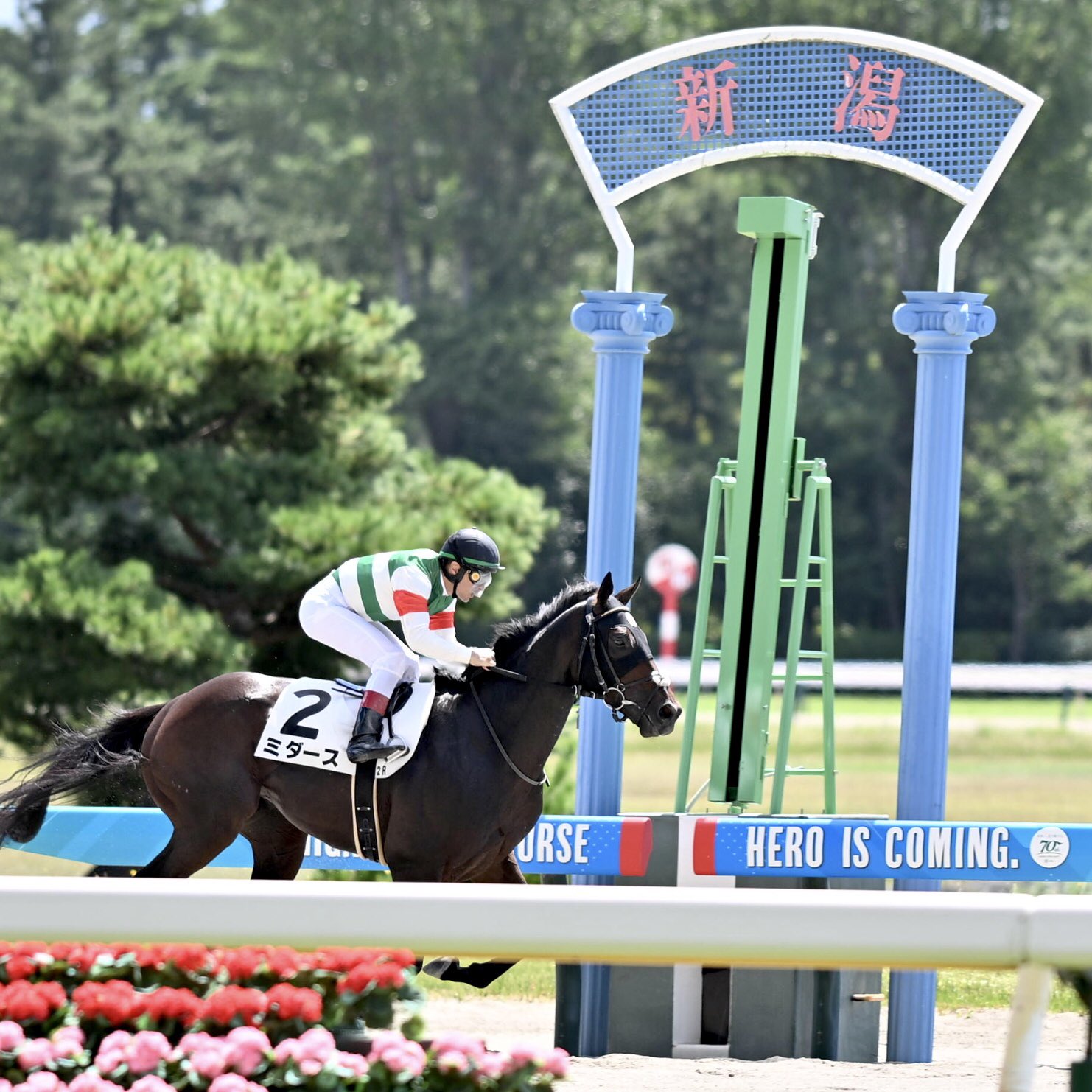 新潟2Rで勝利したミダース号