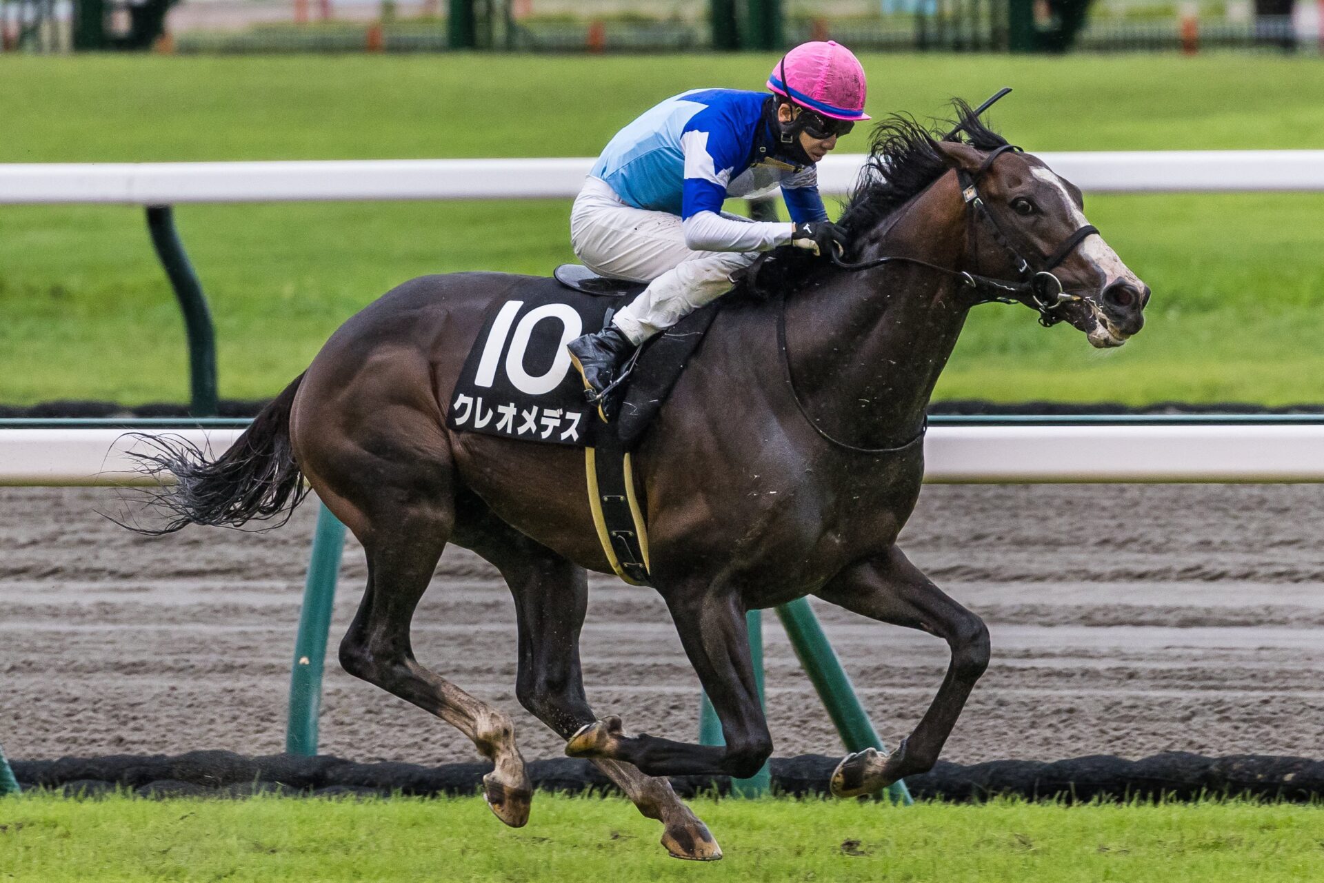 香嵐渓特別で優勝したクレオメデス号（牡4歳）が不良馬場で先頭に立ち、2馬身差で勝利を収める瞬間。