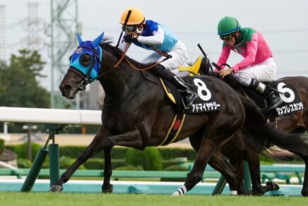 長距離戦線で飛躍の予感たっぷり アドマイヤサジーが1番人気に応えて完勝