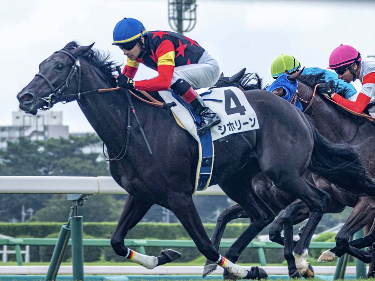 中山2R・2歳未勝利（芝1600m）で、勝利したシホリーン号の写真