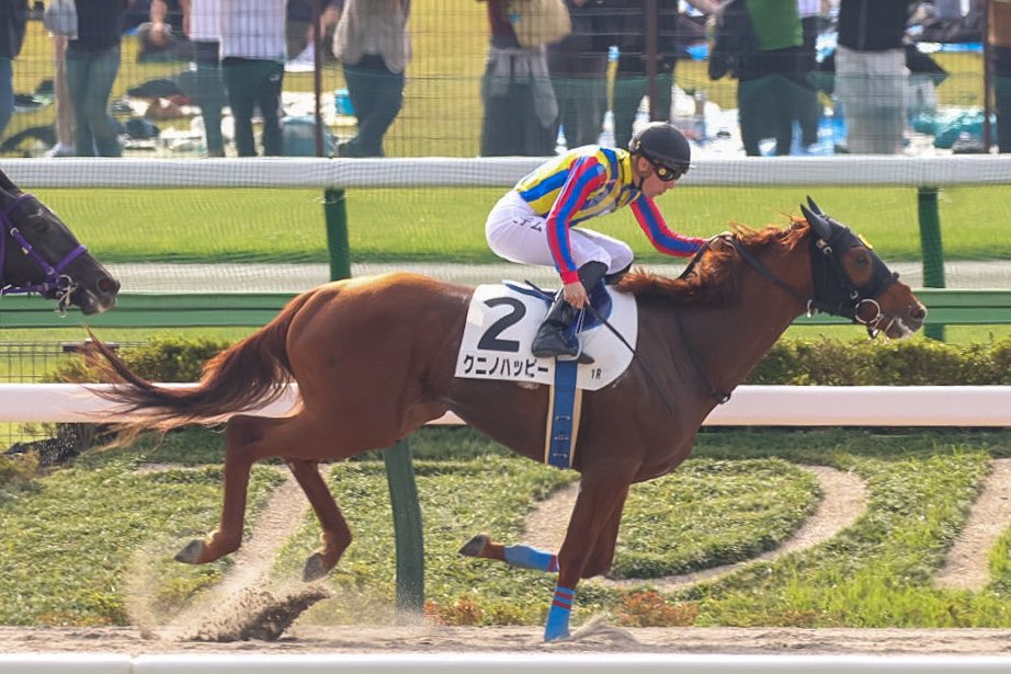 10月27日の東京1R・2歳未勝利（ダート1400m）において、生産馬のクニノハッピー号（牡2歳、父ヘニーヒューズ、母ルミナスハッピー）が勝利