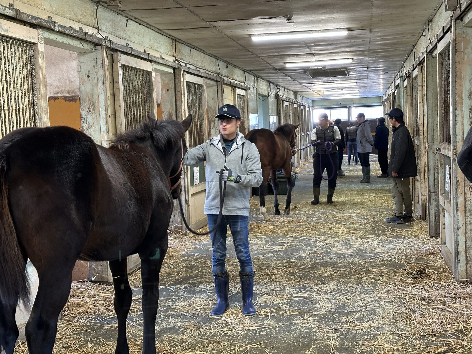 馬とのコミレュニケーション研修の様子