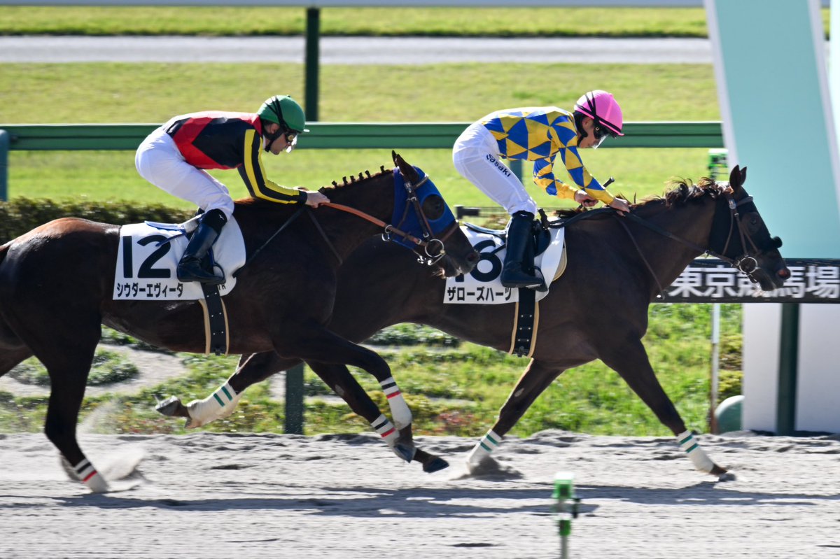 11月9日の東京1R・2歳未勝利（ダート1600m）において、生産馬のザローズハーツ号（牝2歳、父ミスターメロディ、母ロゼリーナ）が勝利