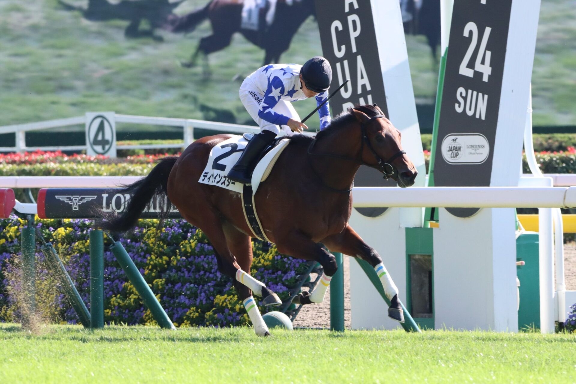 11月3日の東京3R・2歳未勝利（芝2000m）において、生産馬のディヴァインスター号（牡2歳、父アドマイヤマーズ、母メジロマリアン）が勝利