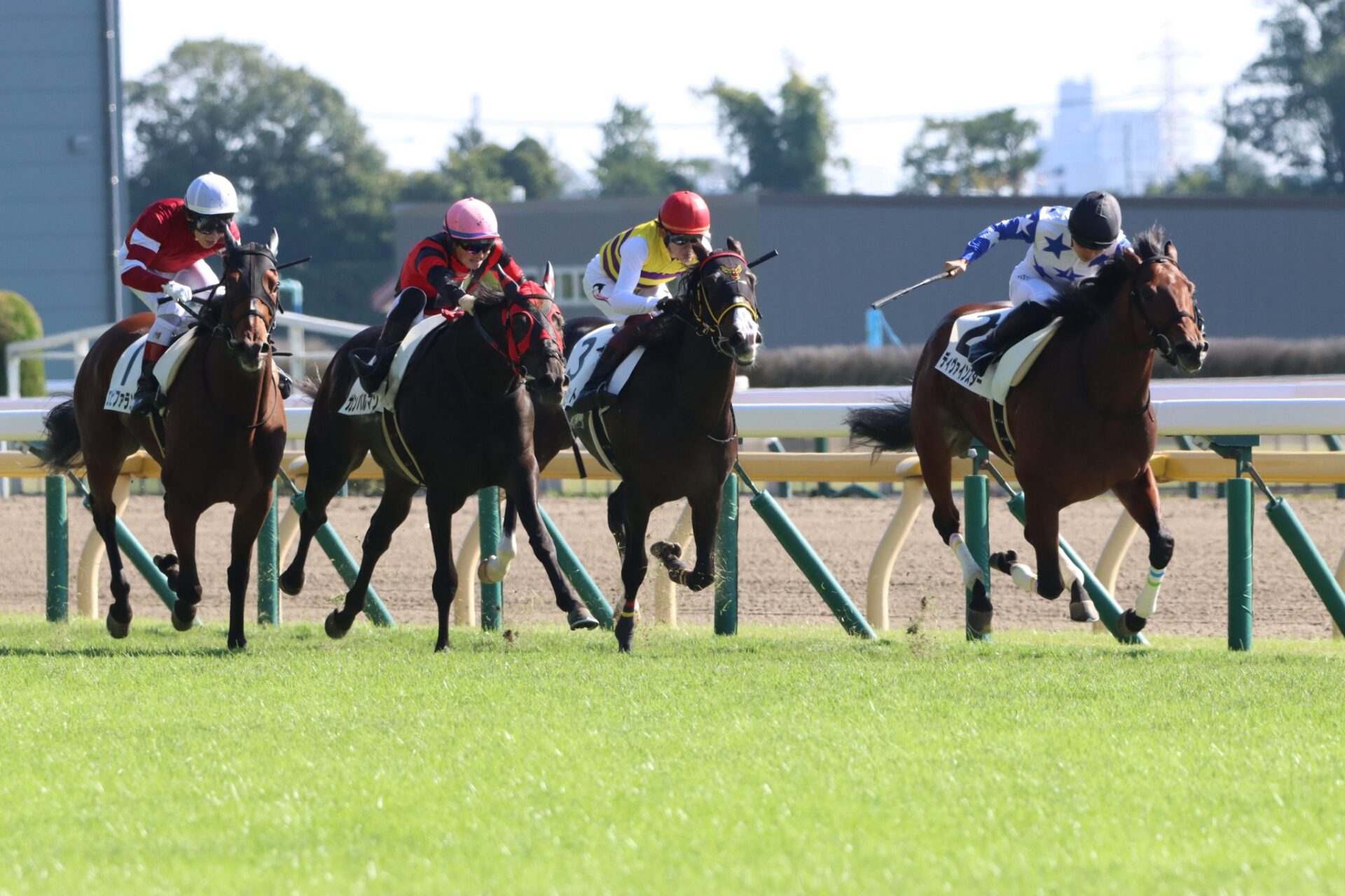 11月3日の東京3R・2歳未勝利（芝2000m）において、生産馬のディヴァインスター号（牡2歳、父アドマイヤマーズ、母メジロマリアン）が勝利