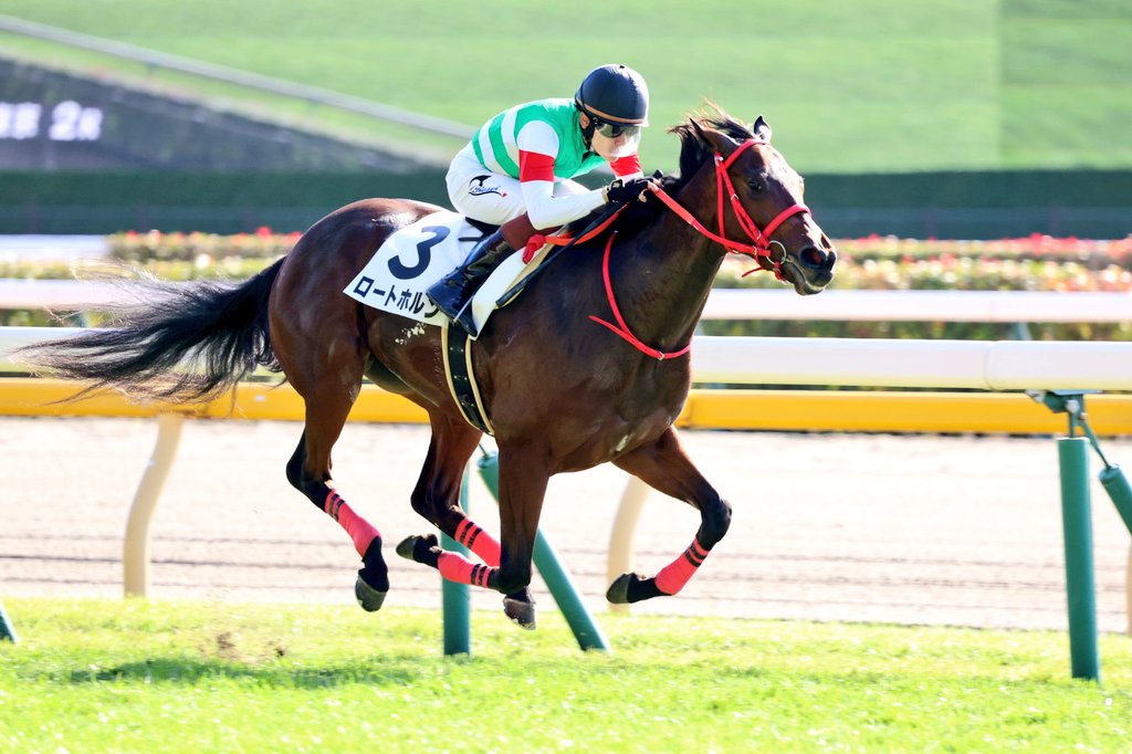 11月17日の東京2R・2歳未勝利（芝1800m）において、生産馬のロートホルン号（牝2歳、父サトノダイヤモンド、母マイミスリリー）が勝利