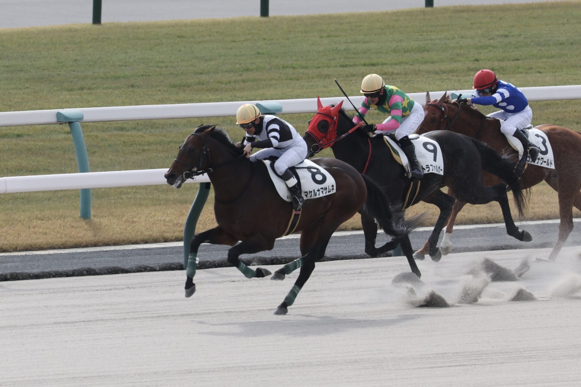 11月23日の京都4R・障害未勝利（2910m・直線ダート）において、生産馬のマケルナマサムネ号（牡6歳、父ディープブリランテ、母ナオミノユメ）が勝利