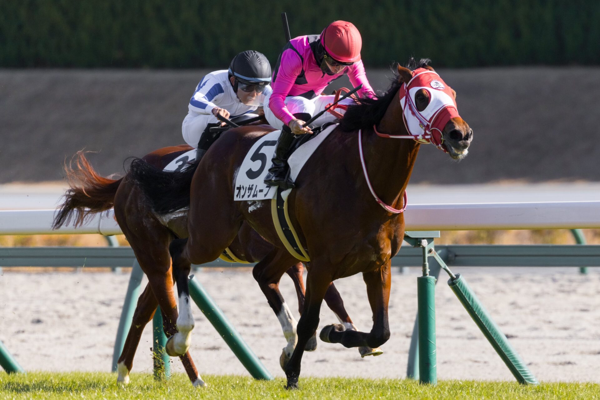 12月15日の中京4R・2歳未勝利（芝1600m）において、生産馬のオンザムーブ号（牡2歳、父モーリス、母ハヴユーゴーンアウェイ）が勝利