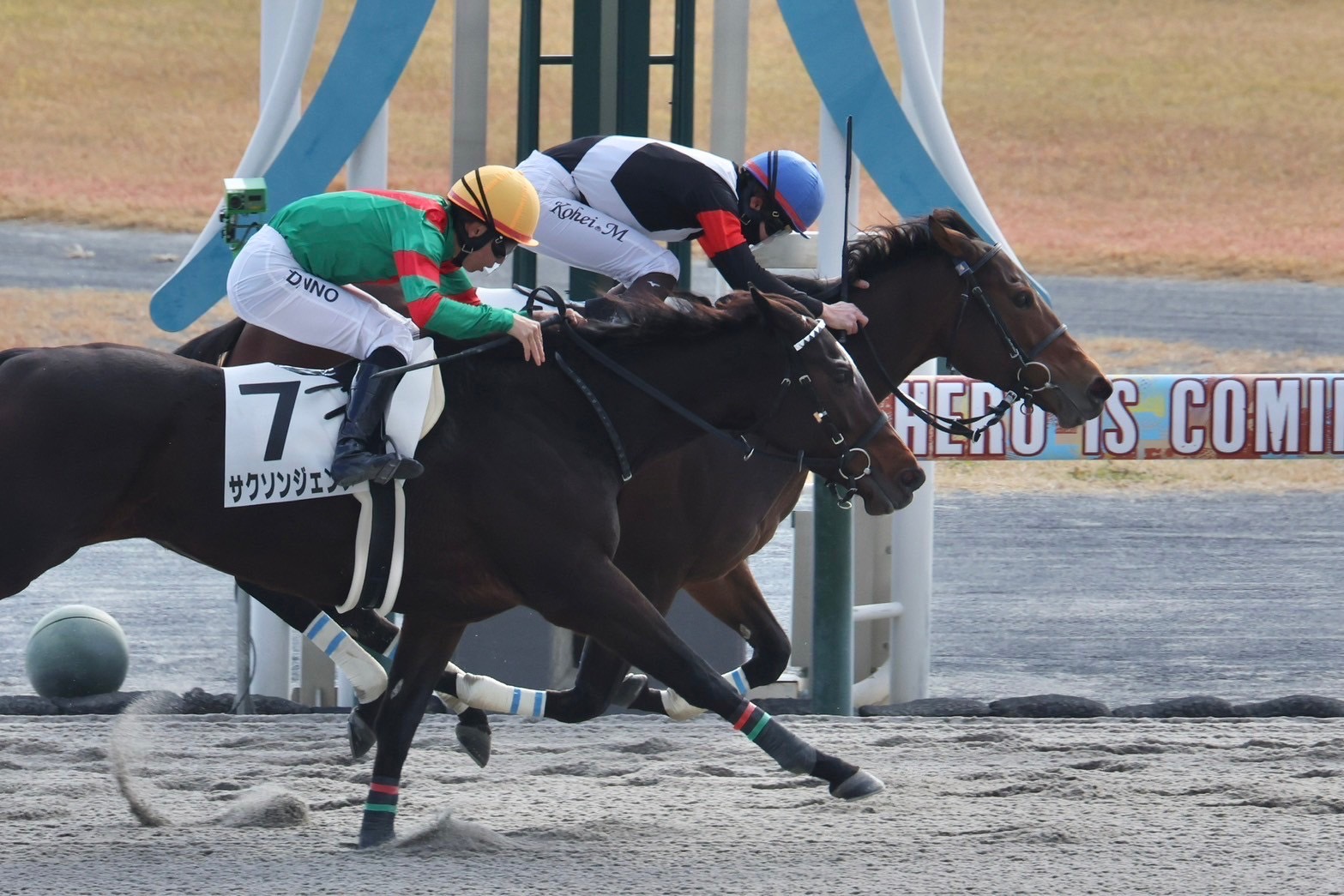 12月7日の中京3R・3歳以上1勝クラス（ダート1800m）において、生産馬のモモンウールー号（牝3歳、父ドレフォン、母ユアスイスイ）が勝利