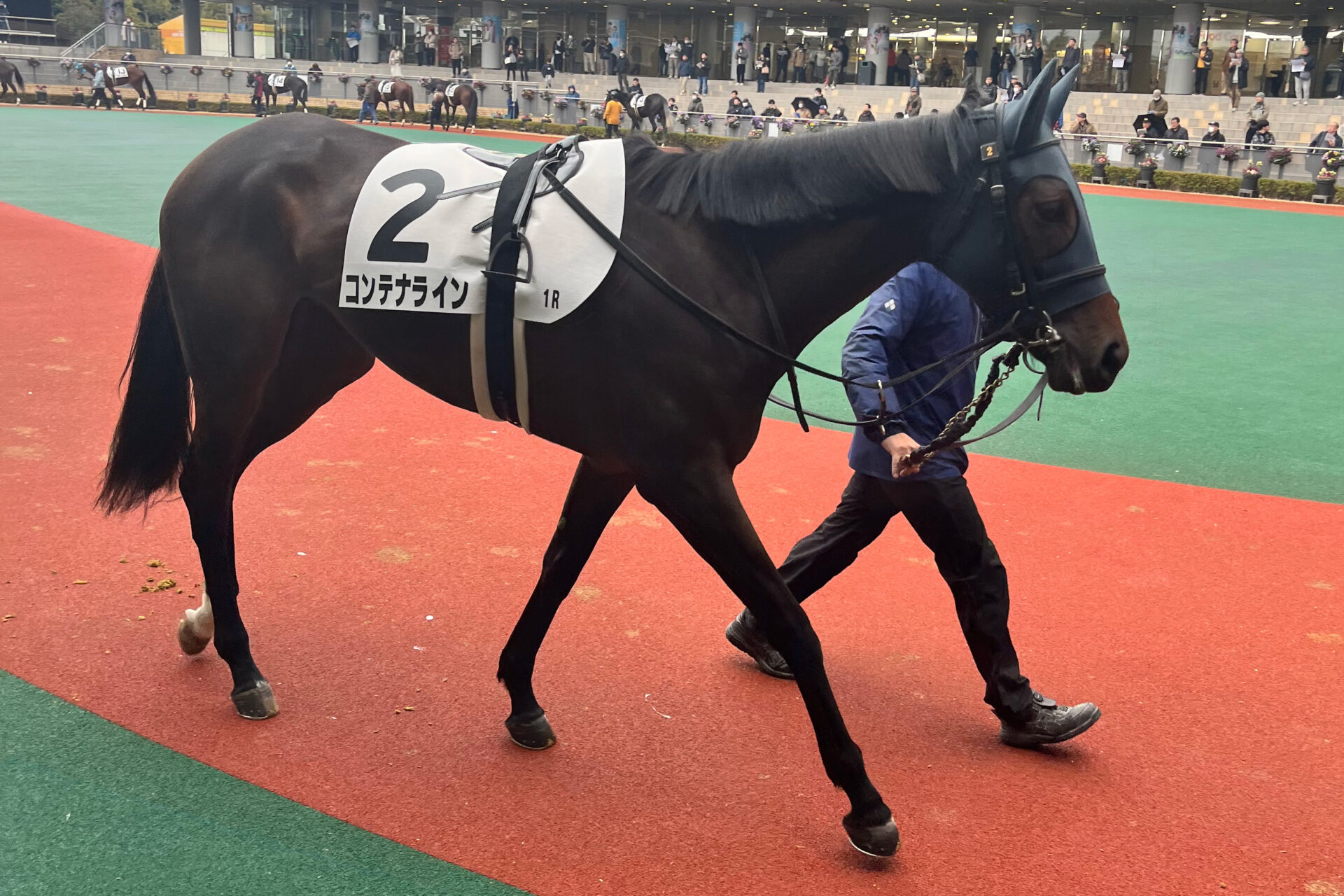 1月6日の中京1R・3歳未勝利（ダート1800m）において、生産馬のコンテナライン号（牝3歳、父ドゥラメンテ、母アイヴィベル）が勝利