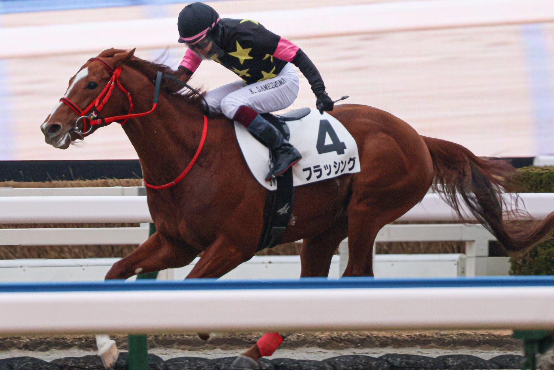 2月1日の小倉3R・４歳以上1勝クラス（ダ1700m）において、生産馬のフラッシング号（牡4歳、父ドレフォン、母プントバンコ）が勝利