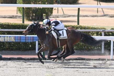 最内枠を生かした巧みなレース運び ワイノナオミが待望の2勝目ゲット