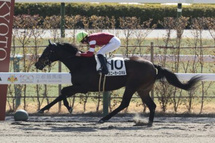 仕切り直しの2戦目で真価発揮 スニーカースキルが3馬身差の圧勝