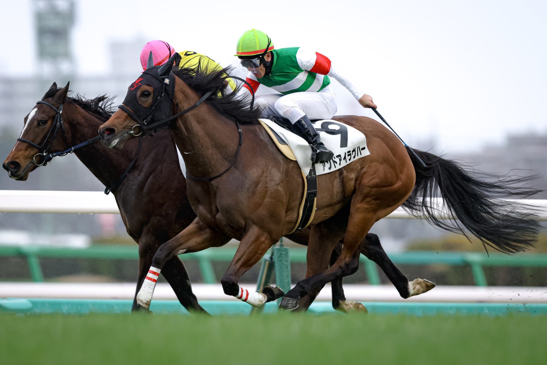 3月8日の中山12R・4歳以上1勝クラス（芝1600m）において、アイルランド産のレイクヴィラファーム提供馬のアンドアイラヴハー号