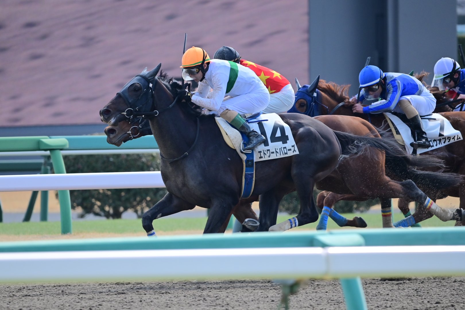 3月9日の中山3R・3歳未勝利（ダート1800m）において、生産馬のエドワードバローズ号（牡3歳、父ナダル、母サンドラバローズ）が勝利